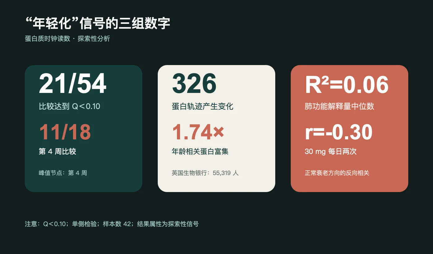 蛋白质时钟与蛋白组的核心数字