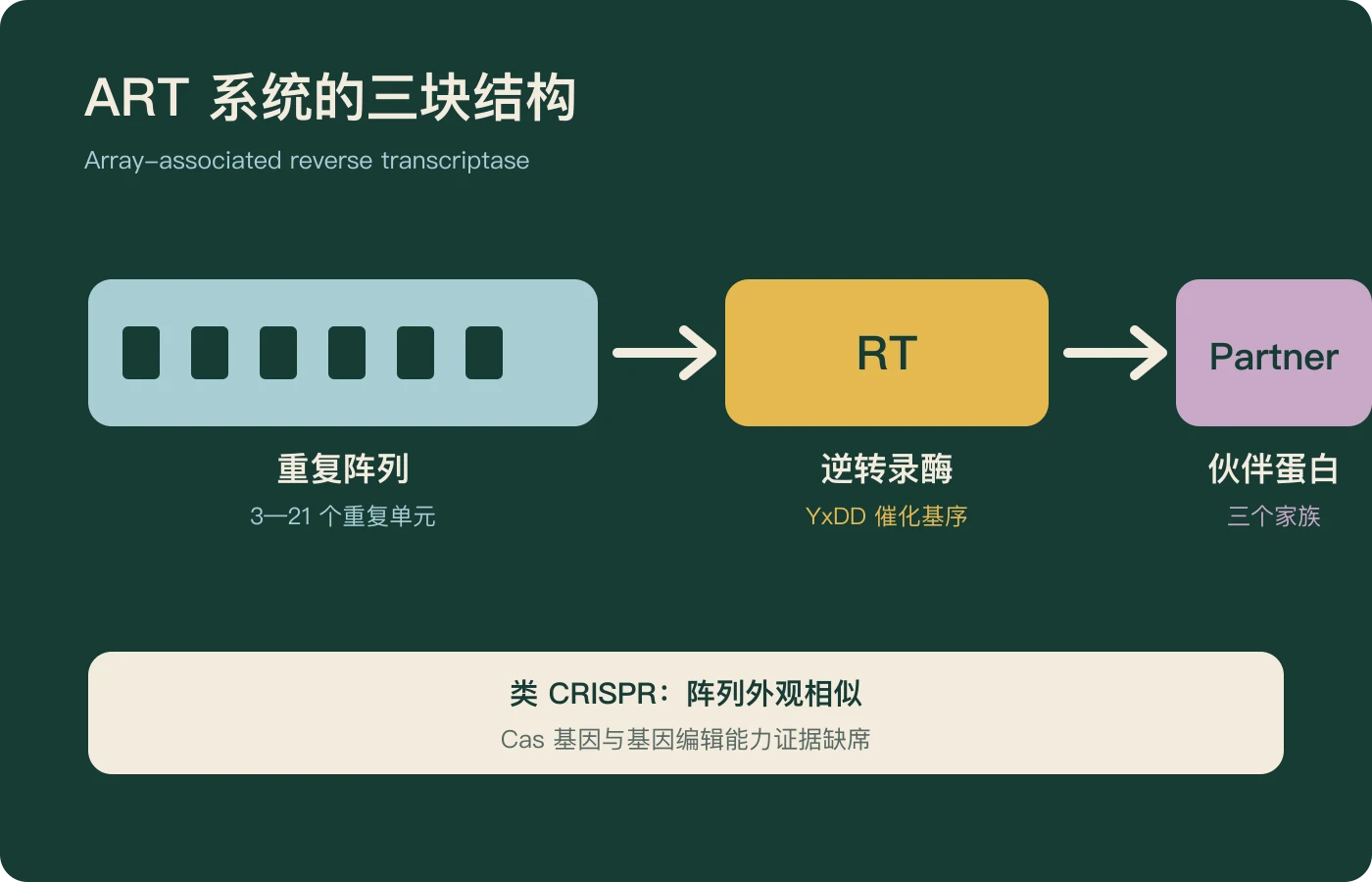 ART系统包含重复阵列、逆转录酶和伙伴蛋白